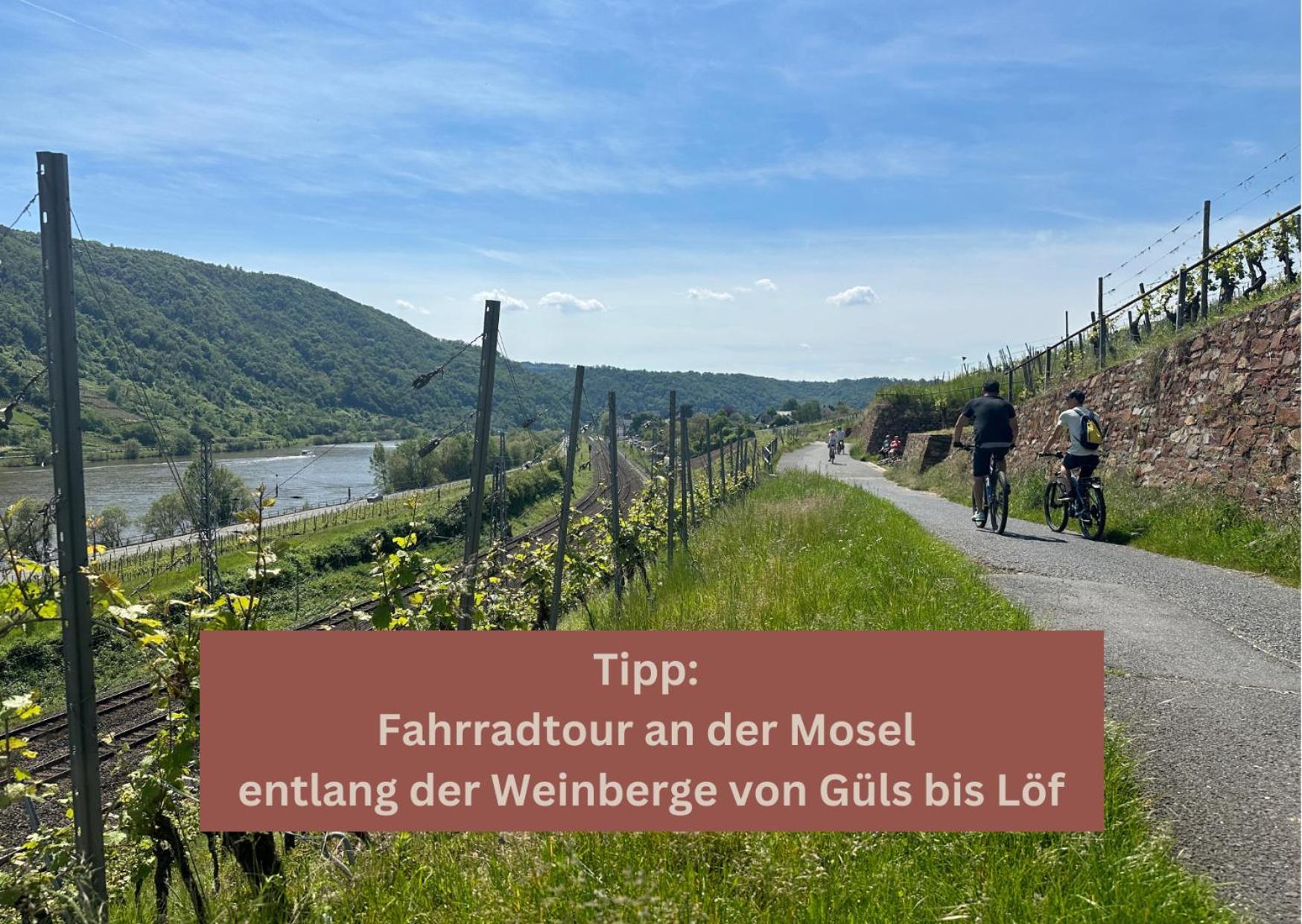 New York Apartment - Fuer Freunde & Familien, Stadtnah, Parkplatz, E-Ladestation, Gitterbox Fuer Fahrraeder, Fitnessstudio, Digitale Gaestemappe Mit Restaurant- Und Unternehmenstipps Koblenz  Kültér fotó